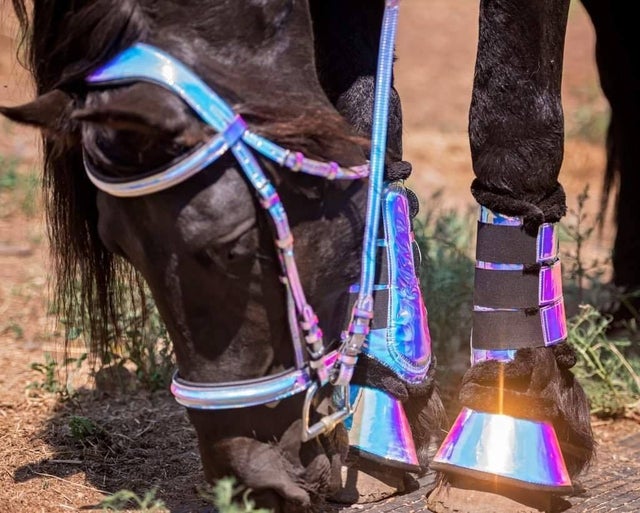 Vness Tack Shop Gypsy Horse Tack | Vness Tack Vness Tack Shop Gypsy Horse Tack | Vness Tack